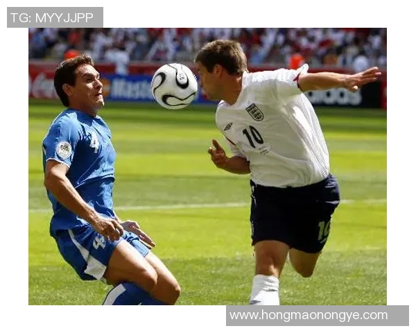 2014年世界杯足球明星卡片集:回顾经典瞬间与球星风采